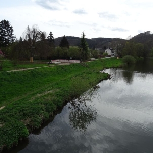 dsc02107_1000.jpg